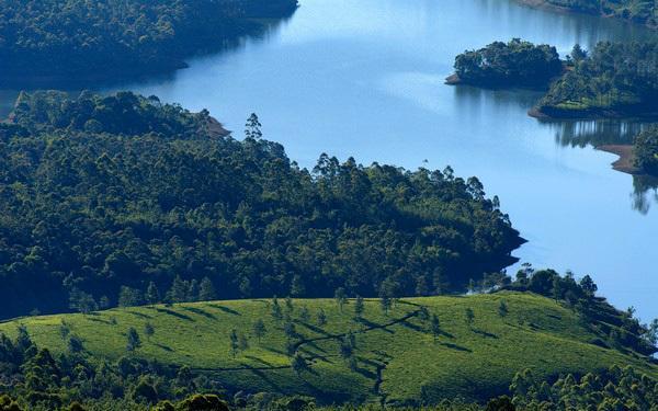Munnar Dreams酒店 外观 照片